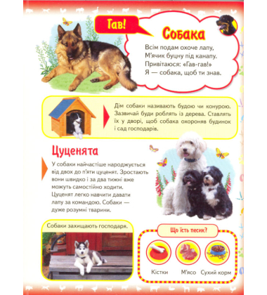 Моя перша книга. Про свійських тварин