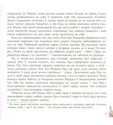 Мишка Зіта