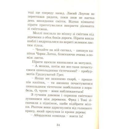 Кімнатні пірати