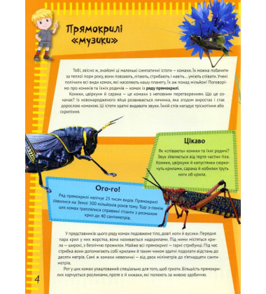 Комахи та павуки