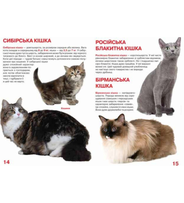 Велика книжка. Кішки