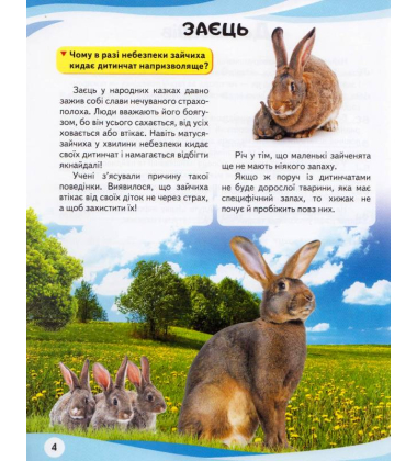 Мами та малюки. Тигр