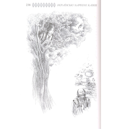 Казки Закарпаття. Книга 23