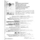 Першокласні каліграфічні прописи до букваря І. Большакової, М. Пристінської. Частина 1