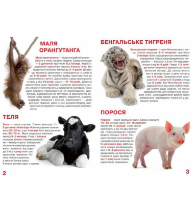 Велика книжка. Малята тварин