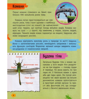Мініенциклопедія. Комахи та павуки