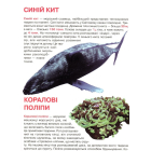 Мешканці морів та океанів. Велика книжка
