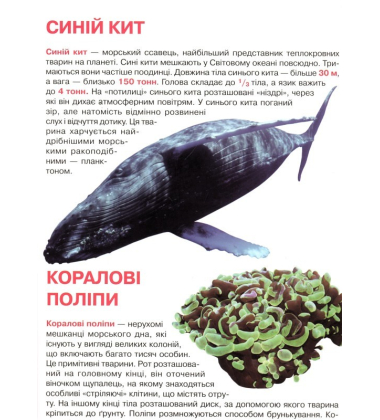 Мешканці морів та океанів. Велика книжка