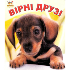 Вірні друзі