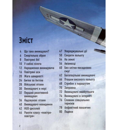 Бойові літаки