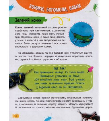 Мініенциклопедія. Комахи та павуки