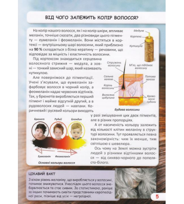 Світ навколо нас. Як працює твоє тіло