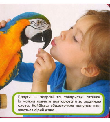 Домашні тварини. Мої перші книжки