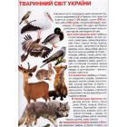 Велика книжка маленького українця
