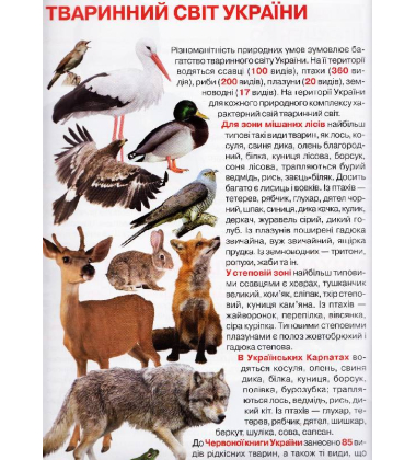 Велика книжка маленького українця