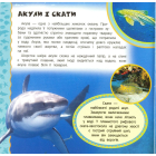 Підводний світ