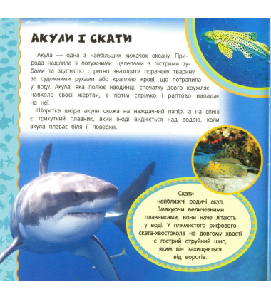 Підводний світ