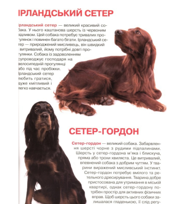Собаки. Велика книжка