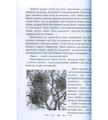 Секрети карпатського травника
