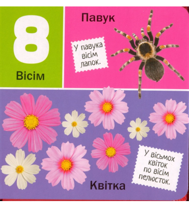 Цифри. Мої перші книжки