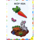 Сад. Город. Знання в кишеньку