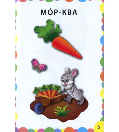 Сад. Город. Знання в кишеньку