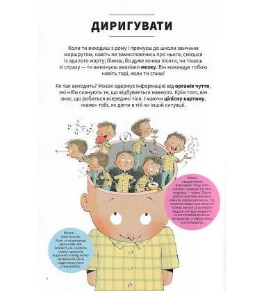 Тіло людини зсередини