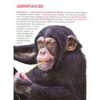 Рекорди тваринного світу. Велика книжка