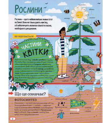 Дивовижні атоми та хаос матерії
