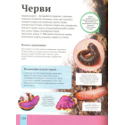 Дитяча енциклопедія тварин