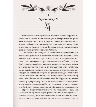 Енн із Ейвонлі. Книга 2