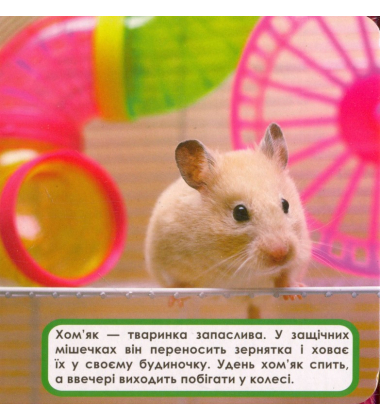 Домашні тварини. Мої перші книжки