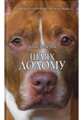 Шлях додому