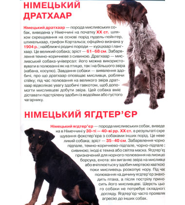 Велика книжка. Мисливські собаки