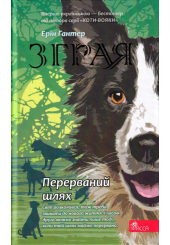 Зграя. Книга 4. Перерваний шлях