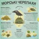 Хто ховається між листям й у воді?