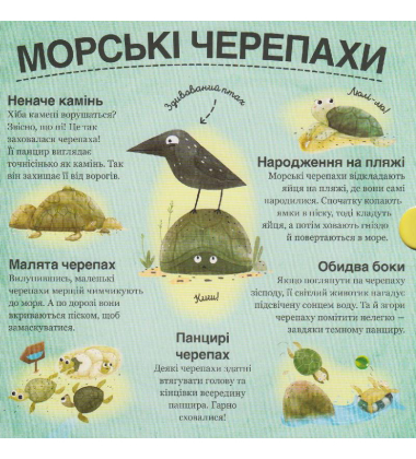 Хто ховається між листям й у воді?