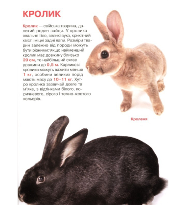 Свійські тварини. Велика книжка