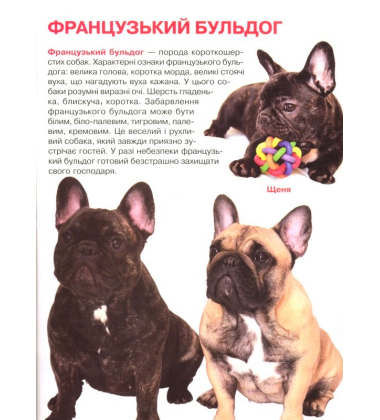Собаки. Велика книжка