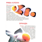 Тропічні риби. Велика книжка