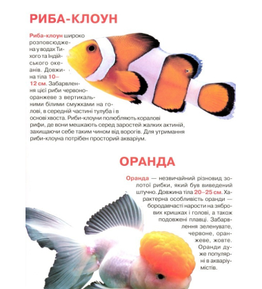 Тропічні риби. Велика книжка
