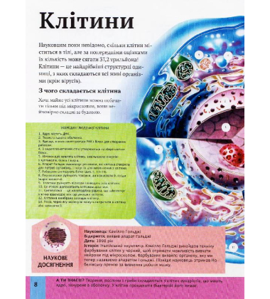 Дитяча енциклопедія тіла людини