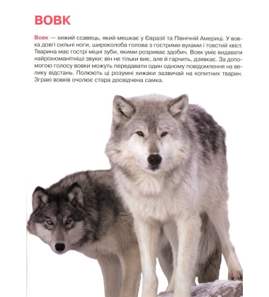 Дикі тварини. Велика книжка