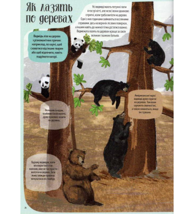 Ведмежа книга