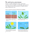 Моя перша книжка про природу