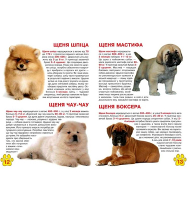 Велика книжка. Цуценята