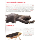 Рекорди тваринного світу. Велика книжка