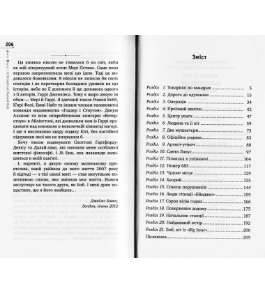 Вуличний кіт на ім’я Боб