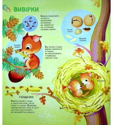 Як живуть крихітні створіння