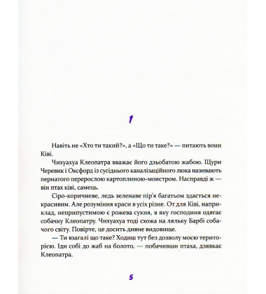 Ківі Ківі